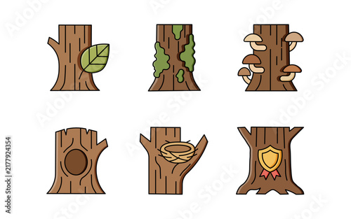 Tree Trunk and Forest Ecology Icon Set