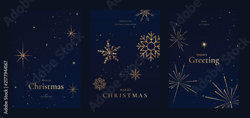 Navy blue Christmas and Happy New Year card vector. Winter Star ,Night  sky, leaves branch, snow flake with gold foil texture on white background. Illustration for cover, print, poster, invitation.
