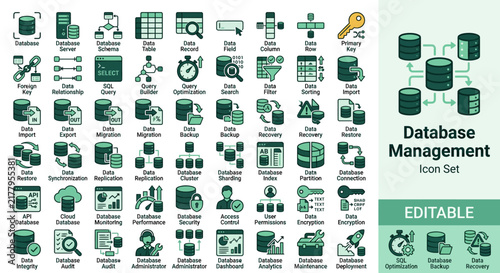 Set of flat vector database management icons for software development and data administration