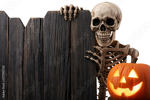 Skeleton, halloween, pumpkin, fence, studio skeleton peeking over wooden fence with glowing