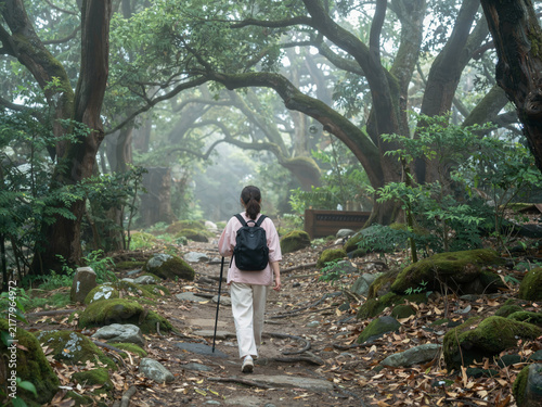 Woman hiking on a misty forest trail with a backpack and walking stick