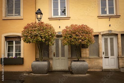 View of the facade of the old yellow stone house with european style windows and two pots with plants symmetrically placed on the each side of the door in Luxembourg city