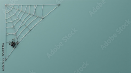 Spider on web in corner, nature macro photograph, detailed arachnid on silk thread, teal background texture, wildlife biology closeup, natural predator concepts Halloween