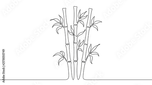 Continuous line drawing of bamboo stalks illustration