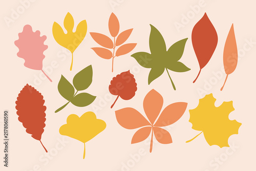 Autumn fall leaves silhouette set. Autumn colorful leaves, maple, acorn, oak, vine leaves, elm leaf . Simple fall leaf set for pattern, banner, sticker autumn card. Flat vector illustration.