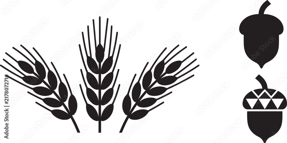 Fototapeta premium Wheat and barley grain silhouettes paired with acorns, creating a rustic botanical collection ideal for agriculture, harvest, autumn, food packaging, farming, and nature-themed designs.