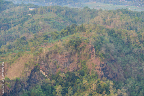 Foto Aerial view of a dense tropical forest with lush green trees and light morning mist over rolling hills in the countryside