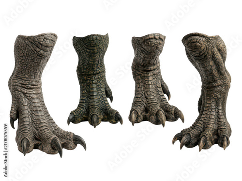 Animal claw feet set on dark surface