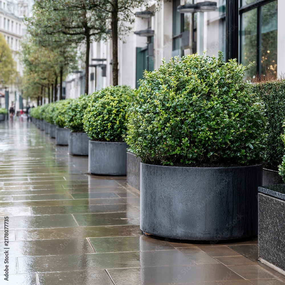 Obraz premium Elegant urban walkway features neatly trimmed bushes in gray planters, reflecting soft light, creating a serene city atmosphere