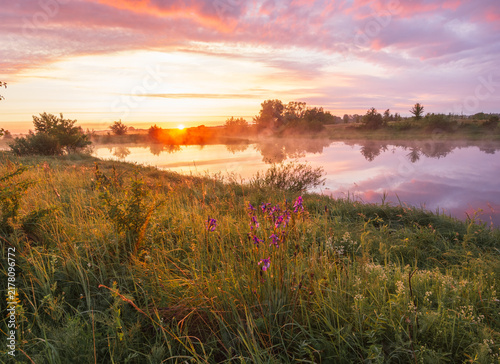 vibrant sunrise over a misty river, reflecting pink clouds and illuminating wildflowers along the grassy bank.