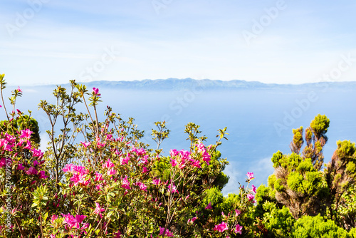 Landscape from Pico Island, Azores