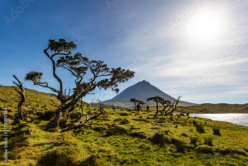 Landscape from Pico Island, Azores
