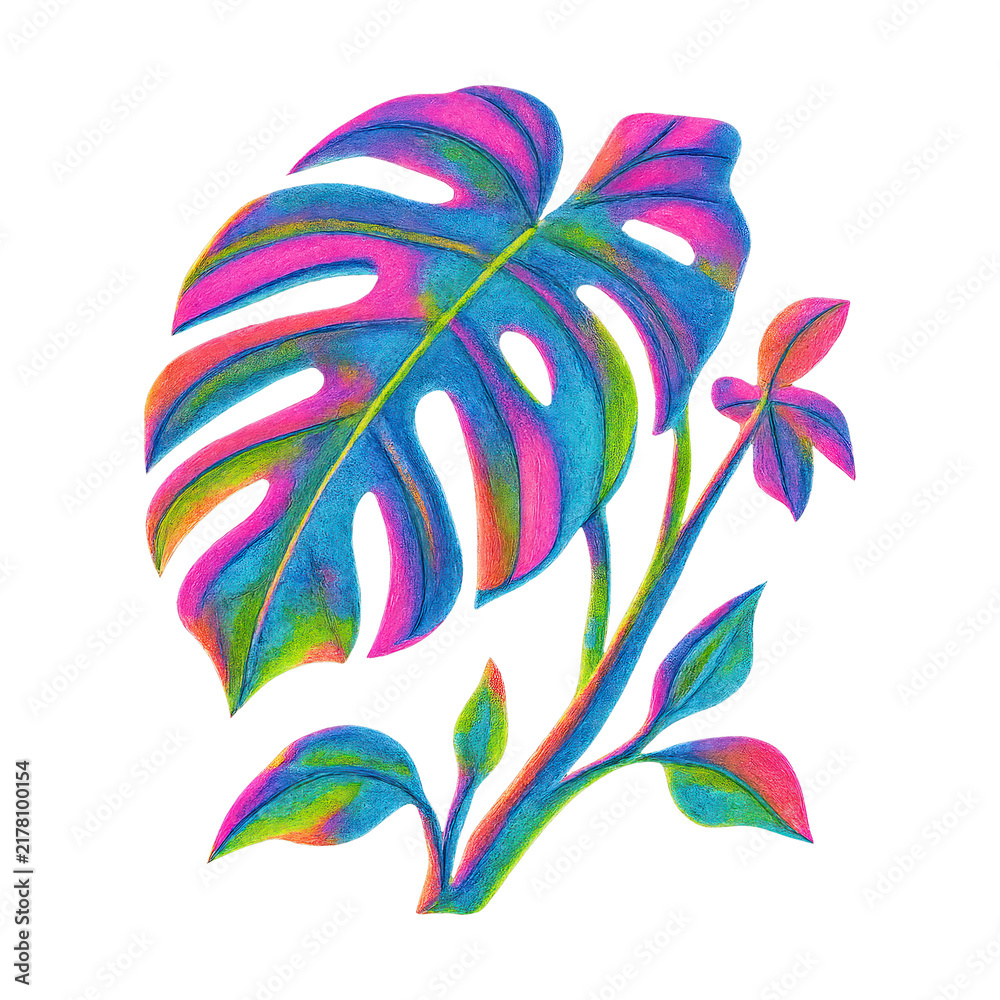 Obraz premium PNG Vibrant tropical plant illustration