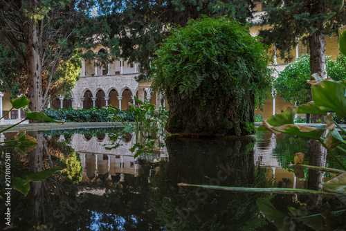 Monastery of Pedralbes Cloister Fountain Pond with Moss Rock and Water Reflections, Barcelona, Gothic Arches