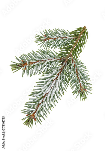 ultra-photorealistic macro-lens product shot of a snow-covered picea abies fir branch featuring vibrant green needles, floating on a transparent background. High-end holiday advertising concept