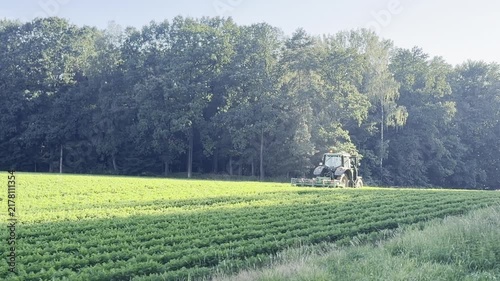 Tractor working in a green field near a forest on a sunny rural day