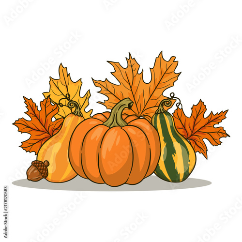 Autumn Pumpkin Harvest Illustration