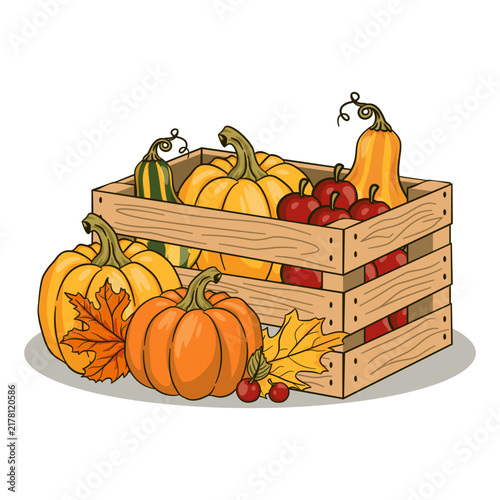 Autumn Pumpkin Harvest Illustration
