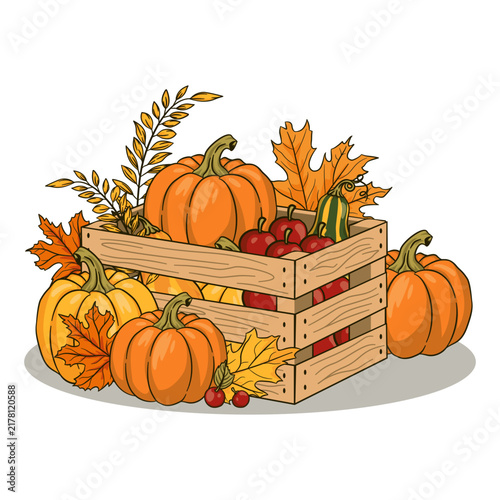 Autumn Pumpkin Harvest Illustration
