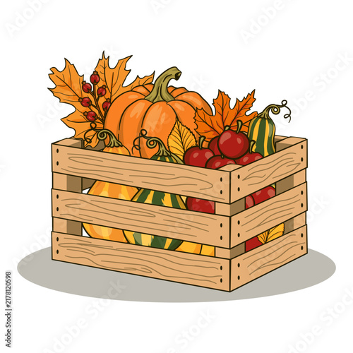 Autumn Pumpkin Harvest Illustration