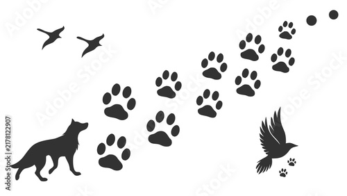 Pet Paw Prints and Bird Icons for Animal and Nature Themes