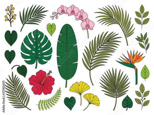 Tropical Leaves and Exotic Flowers Vector Collection Flat Line Art Illustration Set