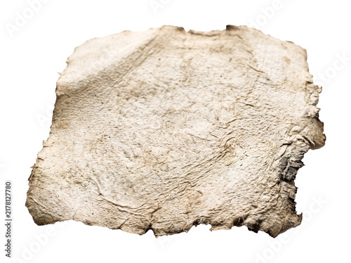 Fototapeta Aged torn parchment paper texture blank sheet.