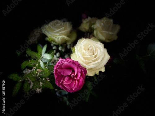Elegant bouquet of pink and white roses on a dark black background