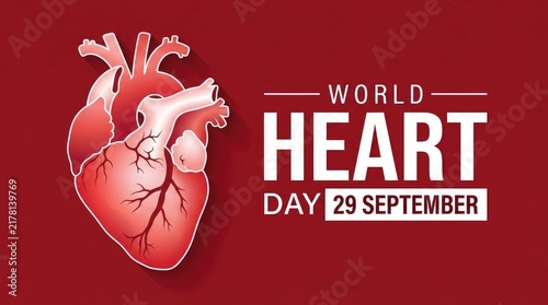 World heart day illustration with anatomical human heart on red background