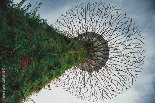 Gardens by the Bay, Singapore