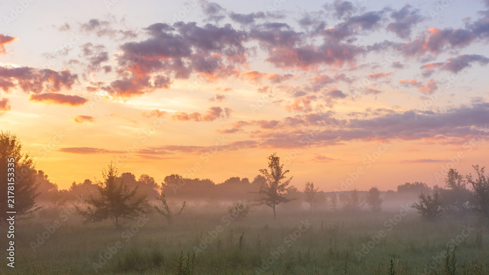 Fototapeta premium A warm, golden sunrise illuminates a misty field filled with scattered trees under a soft, cloud-filled morning sky