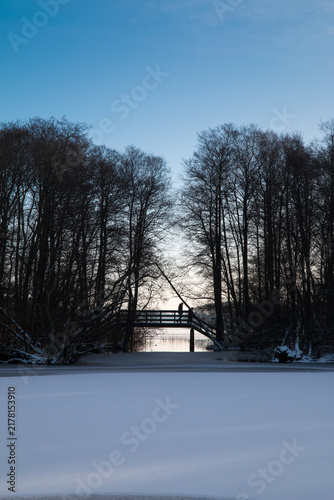 Small Bridge at a Frozen Lake