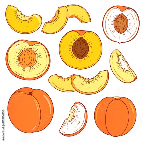 Fresh citrus fruits sliced and whole on white background.