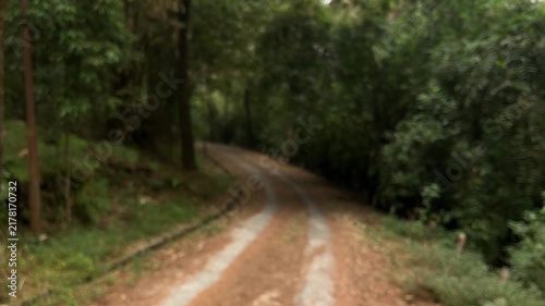 Blurred forest way in nature. Scenic hiking trail. Travel route through green forest. Trail in woodland. path for tourism. through green trees. Nature. street. cement, gray, gray. transportation.