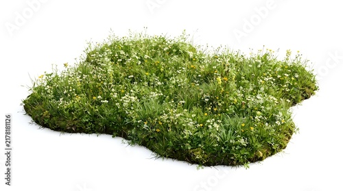 Fresh Green Grass Isolated on White Background, Natural Herb Plant with Lush Leaves for Food, Salad, Spice, Seasoning, Garden, Agriculture and Healthy Organic Nature Concepts