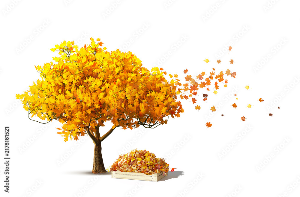 Obraz premium red autumn tree isolated with maple leaves falling and wood box with leaves in garden, 3D illustration