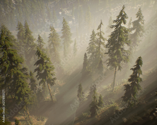 Fir trees on slopes in morning mist. Aerial view. 3D rendered still image.