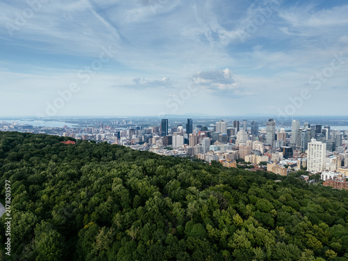 Montreal downtown skyline from Mount Royal with park, lake and greenery in summer, Quebec, Canada. g.