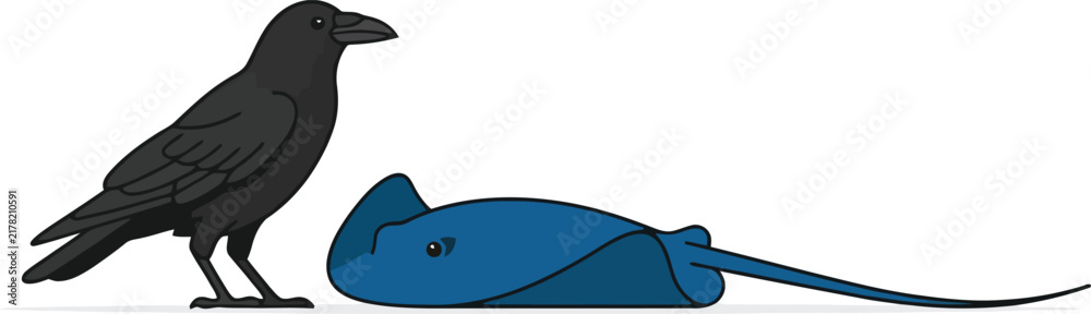 Obraz premium A black crow standing next to a blue stingray on a white background.