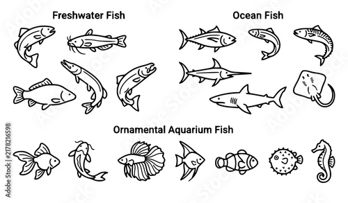 Freshwater ocean and aquarium fish outline icon set in minimalist vector style