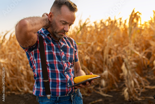 Worried farmer scratching his neck while holding a digital tablet with a harvested corn cob