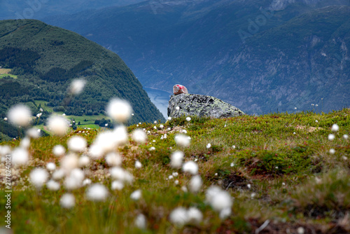 Canvas Print A beatiful landscape with a marked hiking trail leading up the mountain