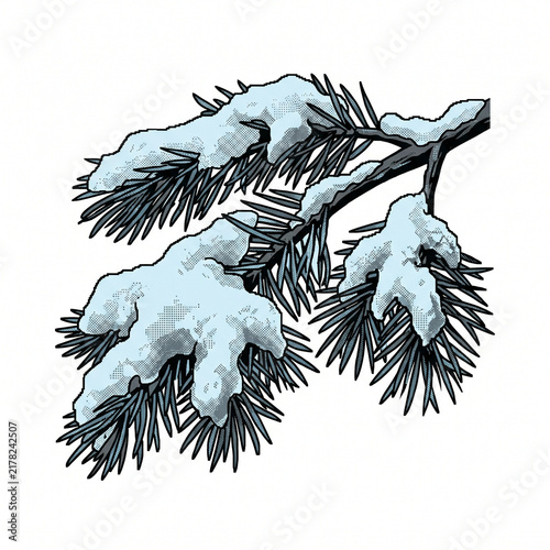 Snow-covered pine branch with needles in winter season  