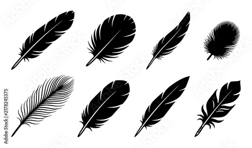 Bird Feather Silhouette Vector Set Isolated on White