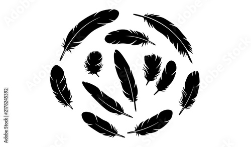 Hand Drawn Bird Feather Icon and Logo Vector Collection