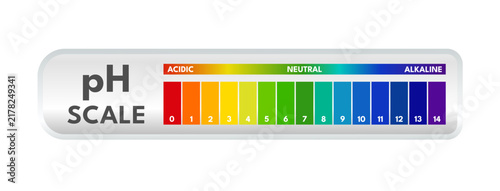 pH scale chart, acid, neutral, alkaline indicator - Vector illustration