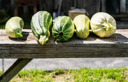 Принти на полотні Fresh zucchini and squash harvest on old wooden bench in garden