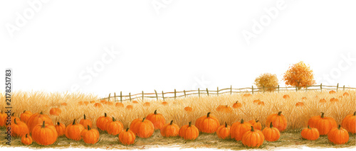 Bild auf Leinwand Pumpkin patch illustration depicting many orange pumpkins in a golden field with