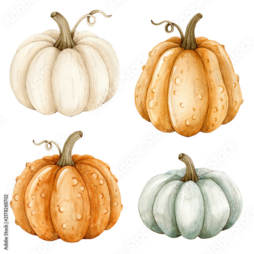 Watercolor pumpkins set. Autumn harvest art. Fall isolated gourds.
