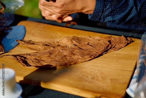 Foto Dried Tobacco Leaves Prepared for Handmade Cigar Production